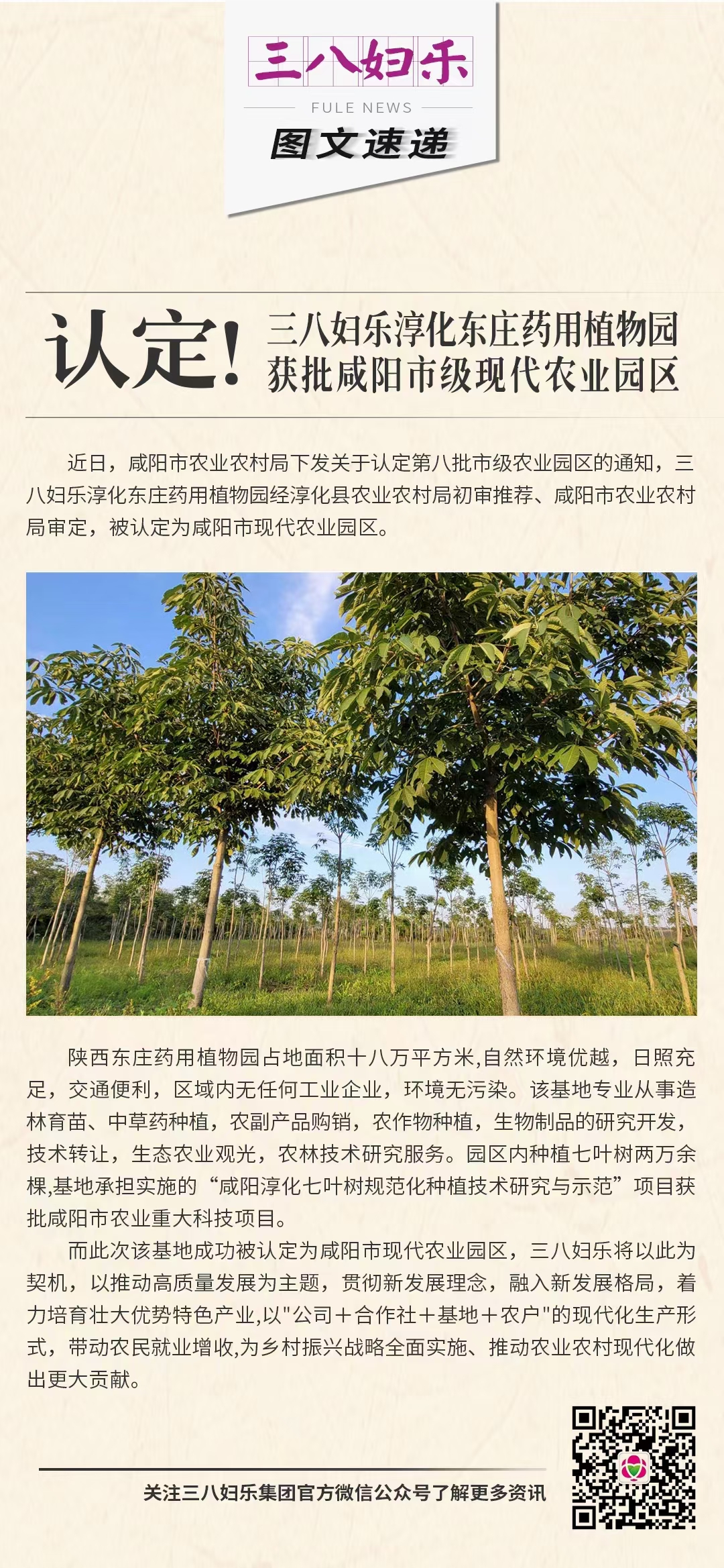 認(rèn)定！三八婦樂(lè)淳化東莊藥用植物園獲批咸陽(yáng)市級(jí)現(xiàn)代農(nóng)業(yè)園區(qū)
